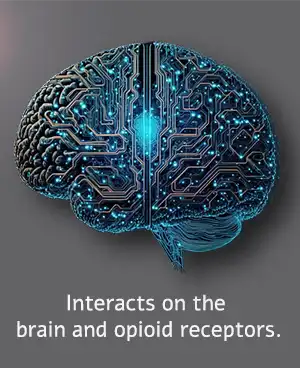  Image of brain and interaction with oxycontin addiction.